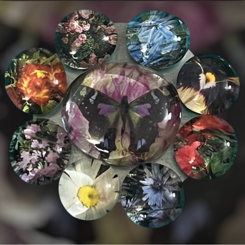 9  Piece Floral Butterfly Glass Magnet Set